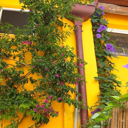 La Maison Jaune Sète Cameră foto